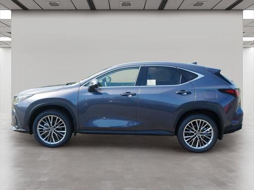 2025 Lexus NX 350h Luxury