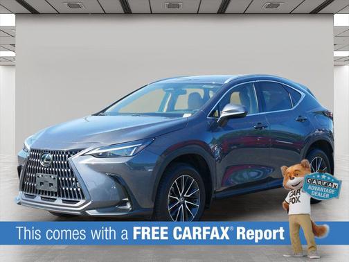 Cloudburst Gray 2025 Lexus NX 350 Premium