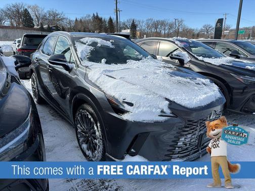 2025 Lexus RX 350 Luxury