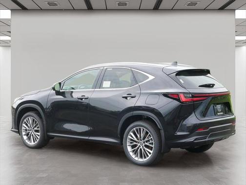 2025 Lexus NX 350 Luxury