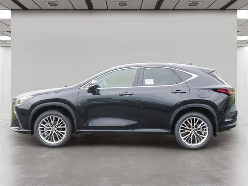 2025 Lexus NX 350 Luxury