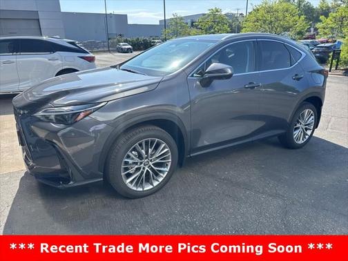 2025 Lexus NX 350 Premium