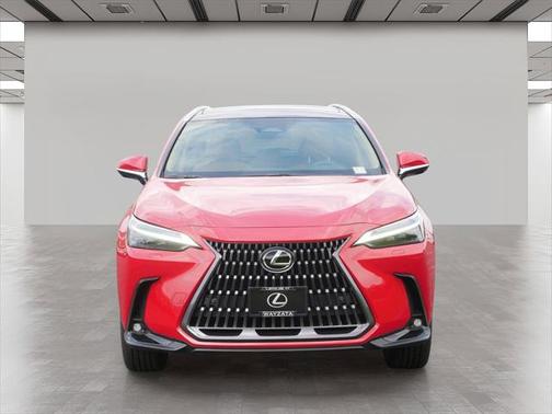 2025 Lexus NX 350h Luxury