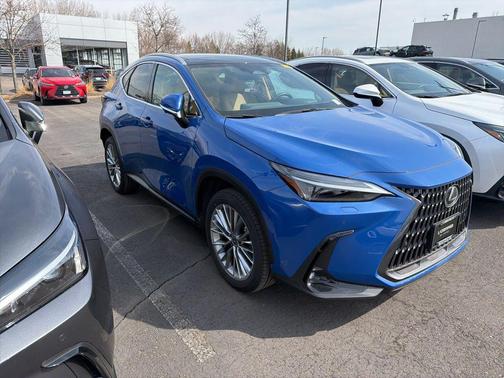 2025 Lexus NX 350h Luxury