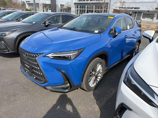 2025 Lexus NX 350h Luxury