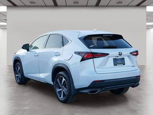 2019 Lexus NX 300 F Sport
