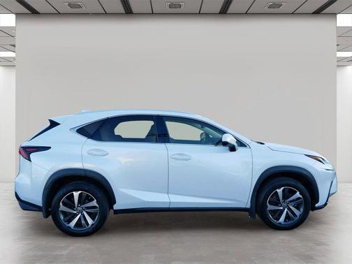 2019 Lexus NX 300 F Sport