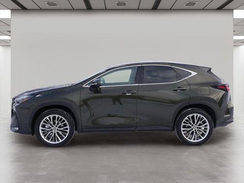 Nori Green Pearl 2025 Lexus NX 350h Premium