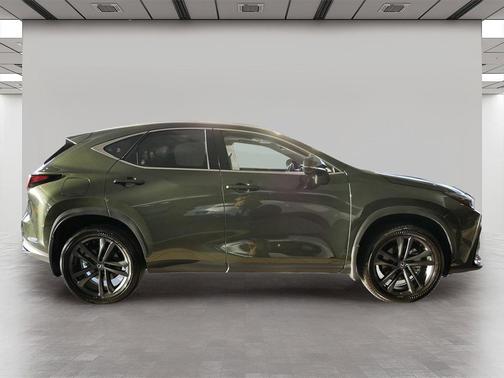 2025 Lexus NX 450h+ Luxury