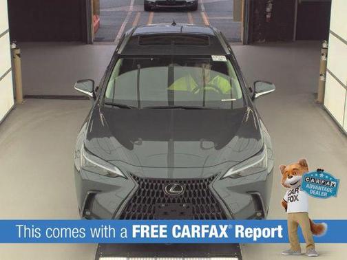 Cloudburst Gray 2023 Lexus NX 350 Premium