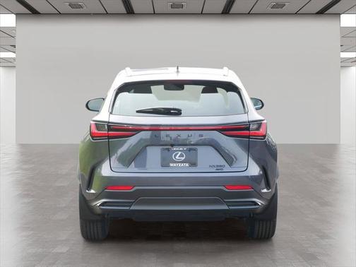 2025 Lexus TX 500h F SPORT Premium