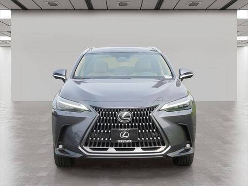 2025 Lexus TX 500h F SPORT Premium