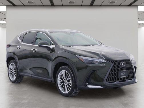 2025 Lexus NX 350h Premium