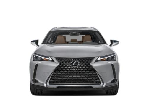 Redline 2025 Lexus UX 300h Premium