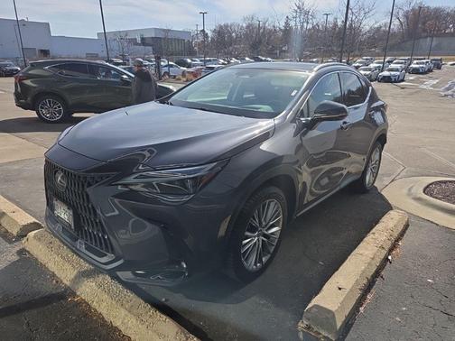 2024 Lexus NX 350 Luxury