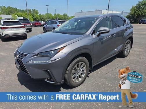 Nebula Gray Pearl 2021 Lexus NX 300 Base