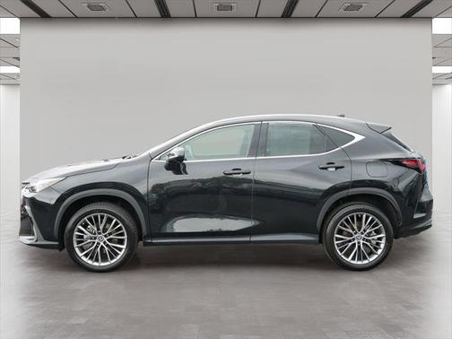 2022 Lexus NX 350 Premium