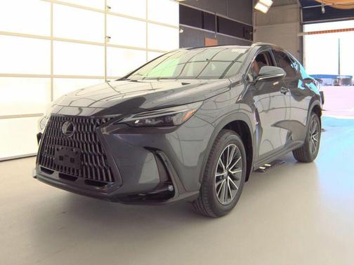 Cloudburst Gray 2025 Lexus NX 350 Premium
