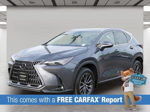 Cloudburst Gray 2025 Lexus NX 350 Premium