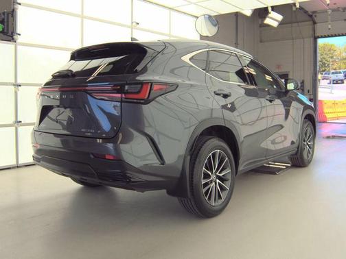 Cloudburst Gray 2025 Lexus NX 350 Premium