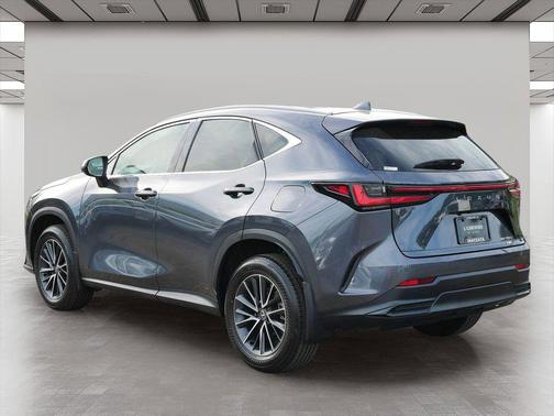 Cloudburst Gray 2025 Lexus NX 350 Premium
