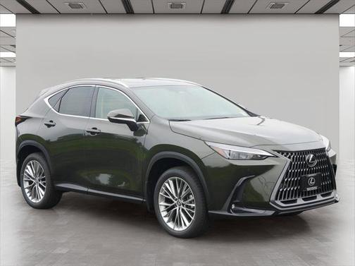 2025 Lexus NX 350 Premium