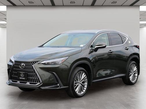 2025 Lexus NX 350 Premium