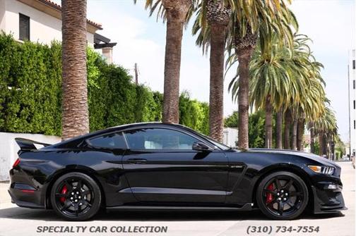 2019 Ford Shelby GT350R Base
