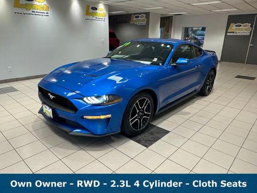 Velocity Blue Metallic 2019 Ford Mustang EcoBoost