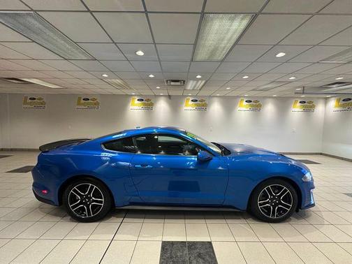 Velocity Blue Metallic 2019 Ford Mustang EcoBoost