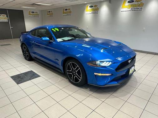 Velocity Blue Metallic 2019 Ford Mustang EcoBoost