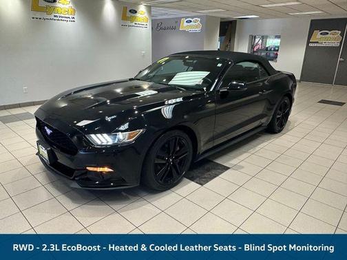 Shadow Black 2017 Ford Mustang EcoBoost Premium