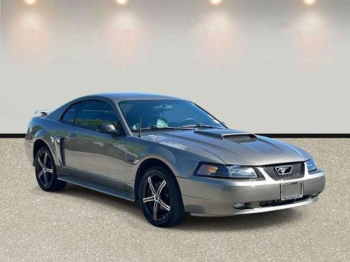 Gray 2001 Ford Mustang GT