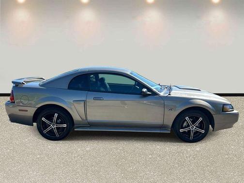 Gray 2001 Ford Mustang GT