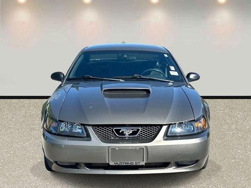 Gray 2001 Ford Mustang GT