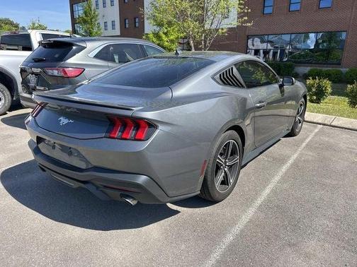 Gray Metallic 2025 Ford Mustang EcoBoost Premium