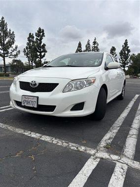Super White 2010 Toyota Corolla LE