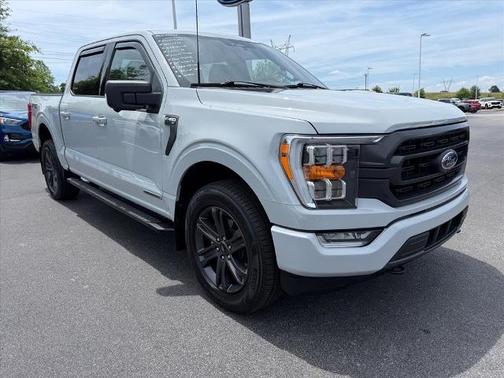 AVALANCHE 2023 Ford F-150 XL