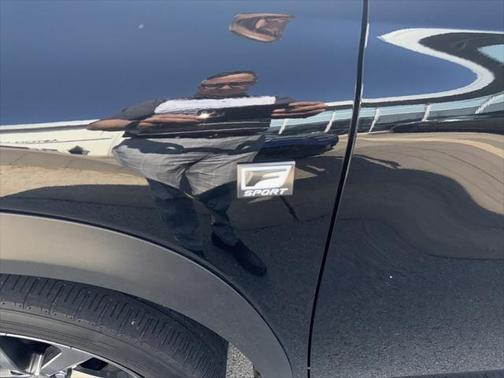 2019 Lexus NX 300 F Sport