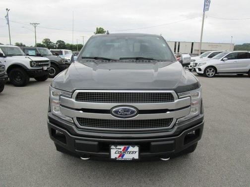 2019 Ford F-150 Platinum