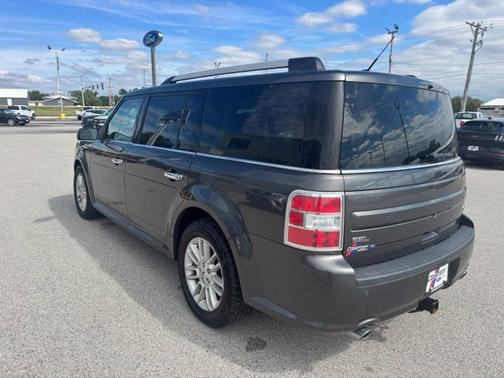 Magnetic 2019 Ford Flex SEL