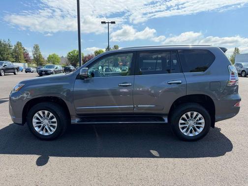 Nebula Gray Pearl 2018 Lexus GX 460 Base