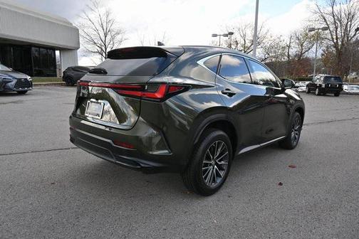 2023 Lexus NX 250 Premium
