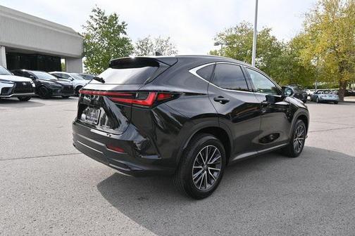 2025 Lexus NX 250 Premium