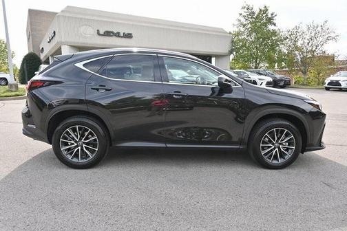 2025 Lexus NX 250 Premium