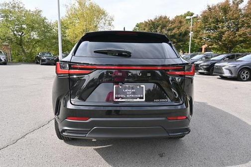 2025 Lexus NX 250 Premium