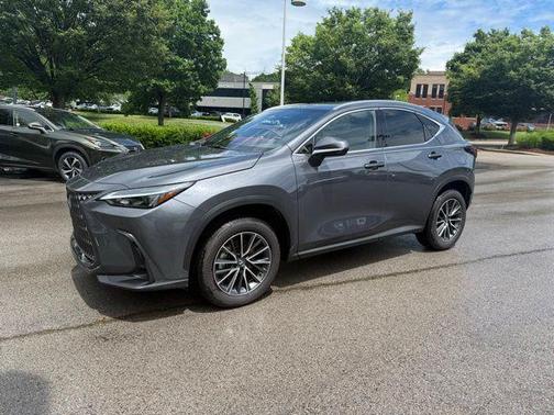 Cloudburst Gray 2025 Lexus NX 350h Premium