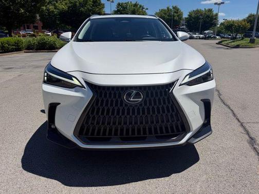 White Pearl 2024 Lexus NX 250 Premium