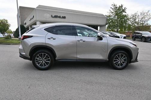 2025 Lexus NX 250 Premium