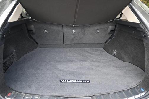 2025 Lexus NX 250 Premium